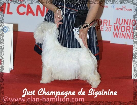 CH. Just champagne de Biguinine