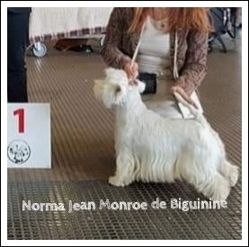 Norma jean monroe de Biguinine