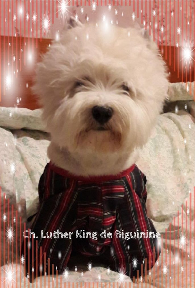 CH. Luther king de Biguinine