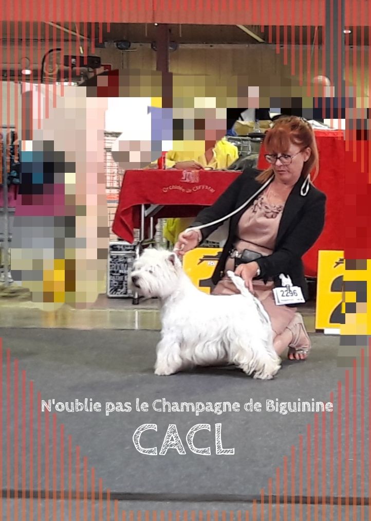 N'oublie pas le champagne de Biguinine