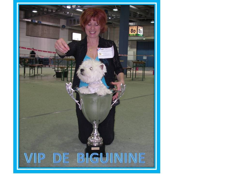 CH. V i p de Biguinine